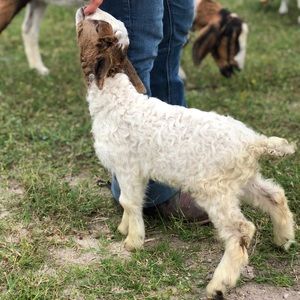 Meet your Posher, Luke